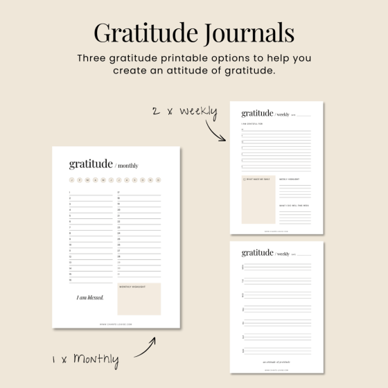 Printable Wellness Planners - Image 3